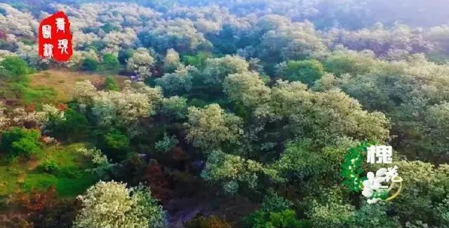 临沭高考2022试卷,临沭高考模拟考试