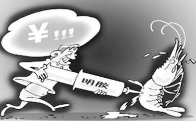 你吃的虾可能打了胶!简直令人发指,看吐了