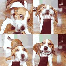 电吹风吹头发发质变差吗,电吹风发热效果变差了怎么回事