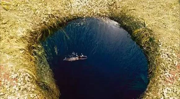 顶级逼真3d视频,史上最逼真3d动画