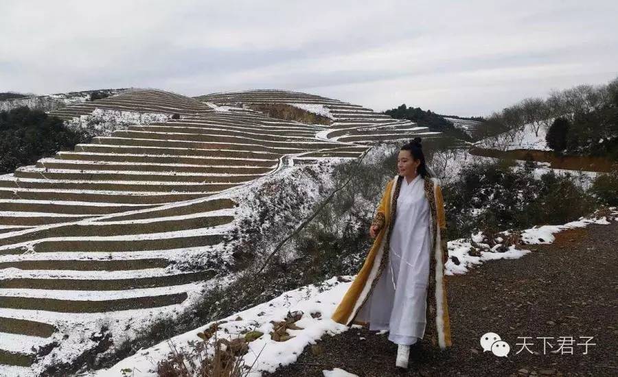 仙县仙女仙叶----青钱柳考察记—糖尿病患者的福音