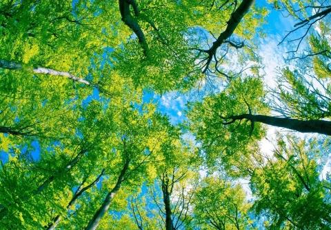 世界杯期间男友一次都不碰我，知道真相后我狠狠踢了他下面