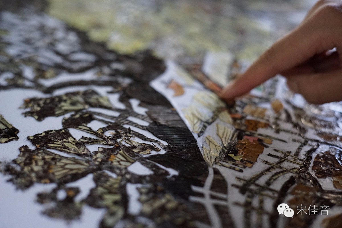 死的蝴蝶怎么让它复活,死的蝴蝶要怎么样活过来