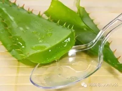 孕妇能用芦荟胶吗？对胎儿是否有影响？