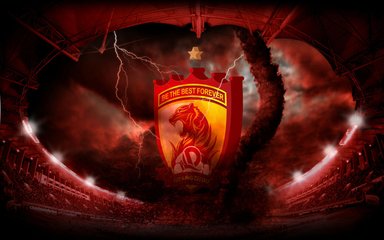 我与足球有个约定,我与足球的故事