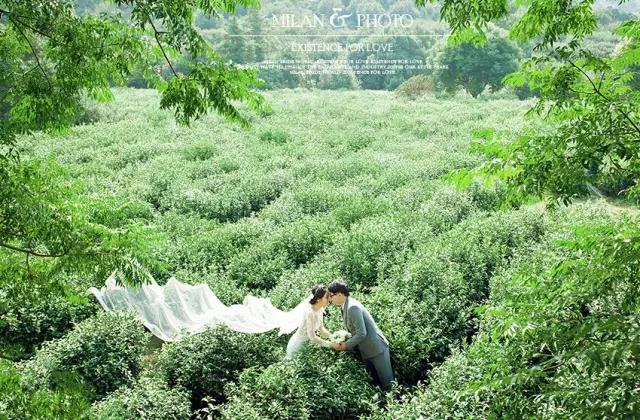 苏州人11月攻略,苏州人去旅游夏季攻略最新