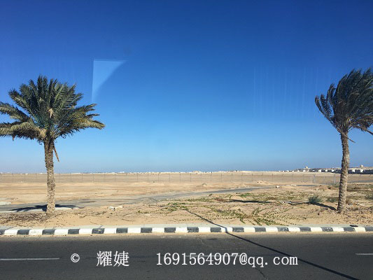 埃及印象视频大全,埃及的异国风情