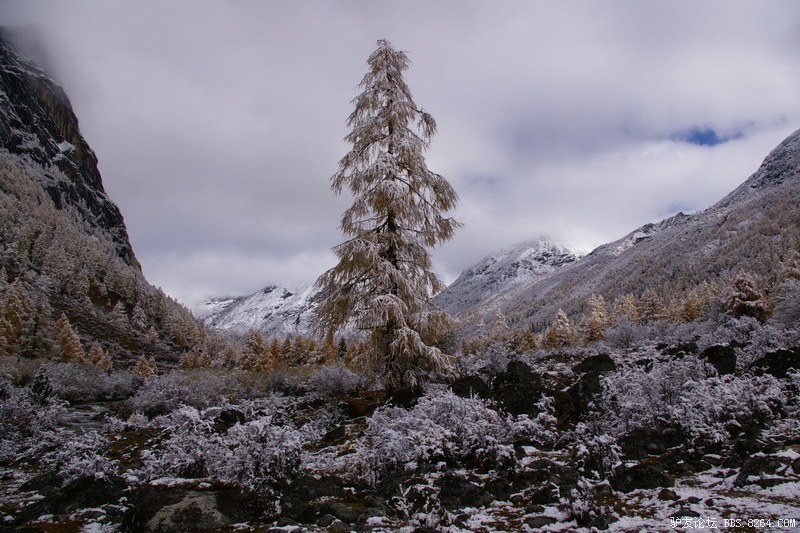 古道，细雨，暮雪-我的长坪沟半截秋色之旅