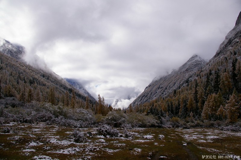 古道，细雨，暮雪-我的长坪沟半截秋色之旅
