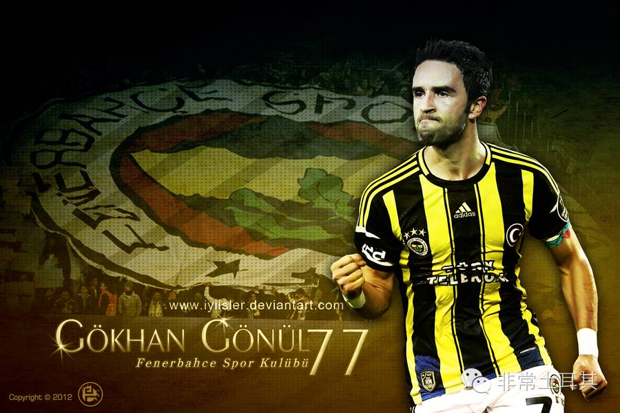 实力黑马,星月军团欧洲杯