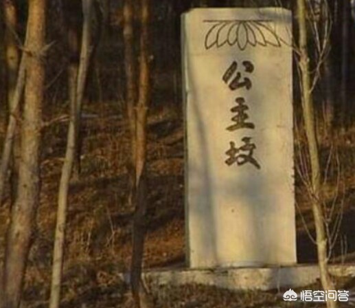 北京公主坟埋葬的到底是哪位女子,北京公主坟埋葬的是谁