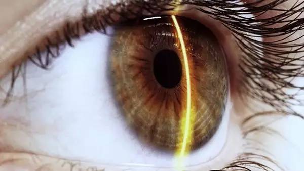 武汉光谷观光,武汉光谷值得去吗