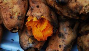 上海好吃的老点心,老上海人真正快要遗忘的东西