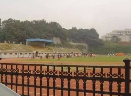 中国足球场打架,中国足球史上十大反击