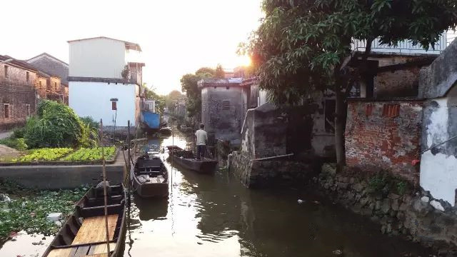 西江明珠石板沙生态岛,江门新会石板沙湿地公园