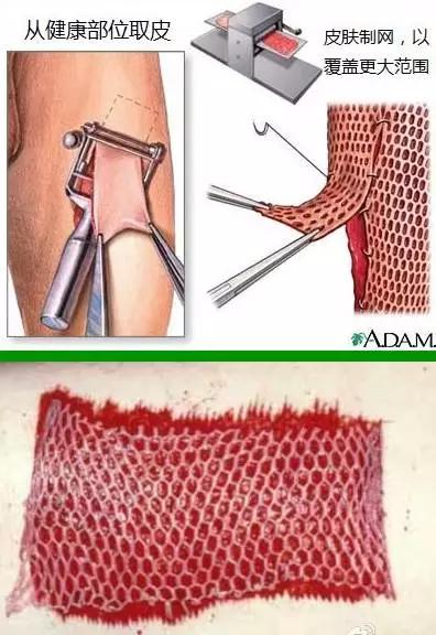 医学人士看图涨姿势系列