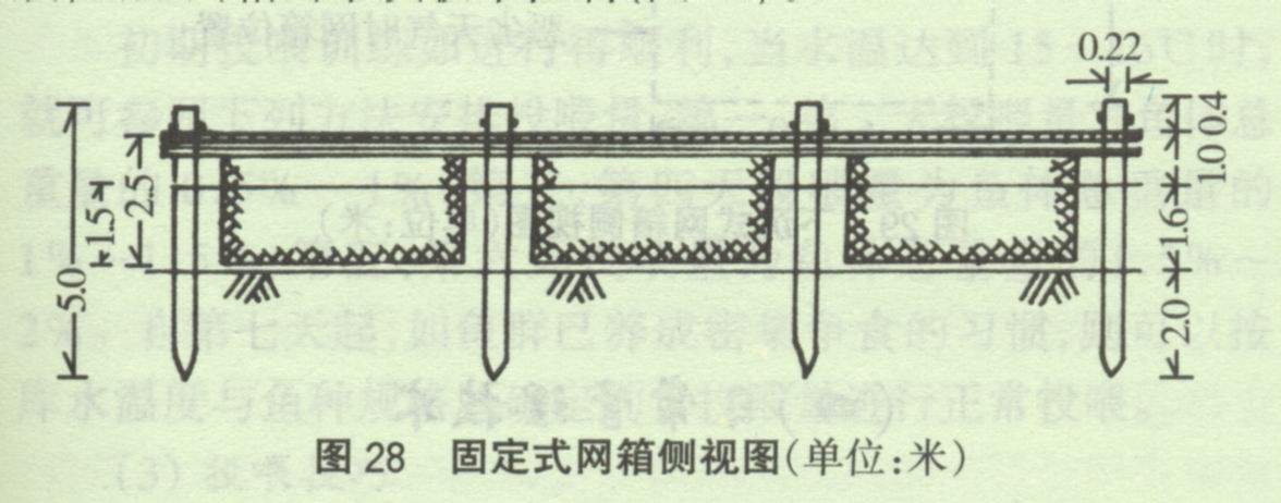 网箱高密度养鱼注意事项,网箱养鱼需要什么设备吗