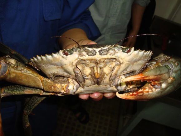 我是远洋渔民，爱钓鱼，更爱周游世界