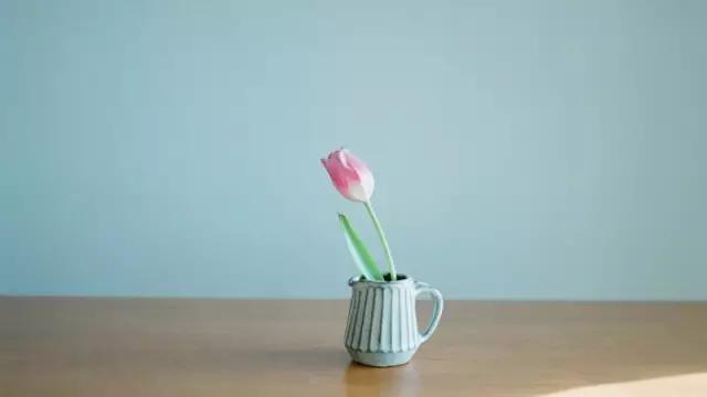 所有的数学公式小学,整个小学里面的数学公式要背哪些