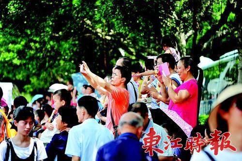 2023中华龙舟赛现场直播,今日珠江龙舟比赛视频