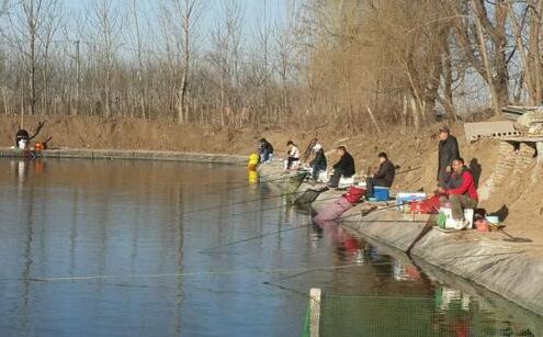 钓黑坑就是钓鱼人在炫富,不服可以来辩!