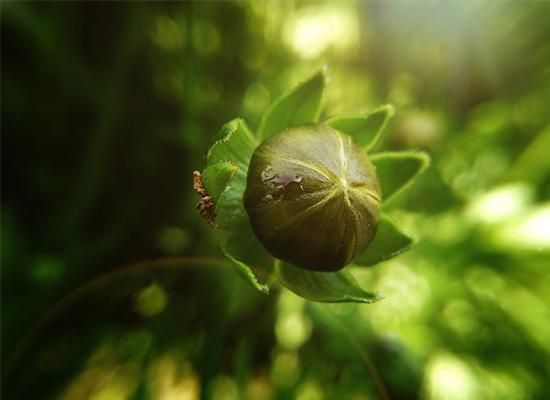 联想zukz2骁龙820z2,联想zukz2值不值得入手