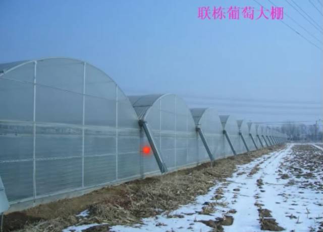 葡萄大棚材料哪里有,葡萄大棚都有什么配件