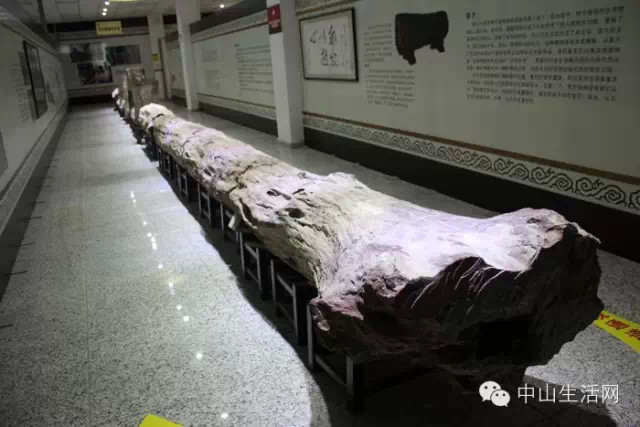 中山到底好不好,中山好不好