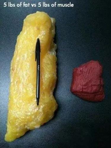 医学人士看图涨姿势系列