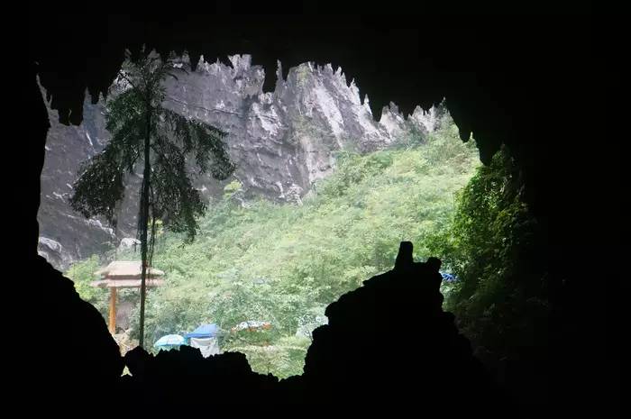 巴马世界旅居圣地,广西巴马长寿圣殿图片