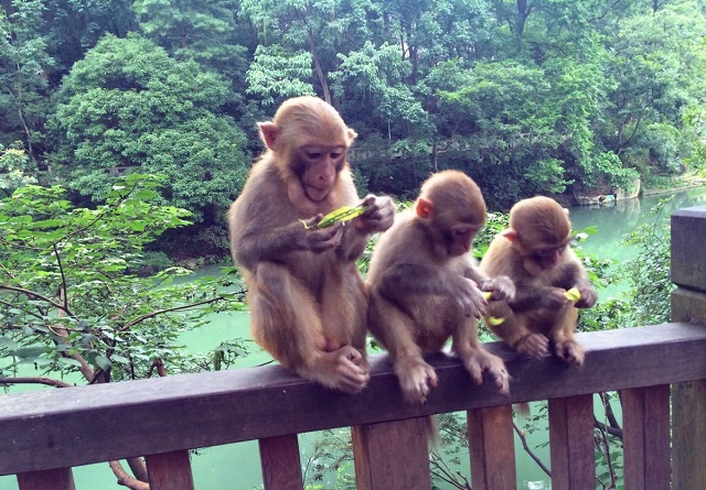 花溪哪些地方适合旅游,花溪哪里旅游最好