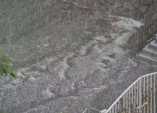 冰雹砸车上的小坑需要处理吗,冰雹砸车的车坑怎么弄出来