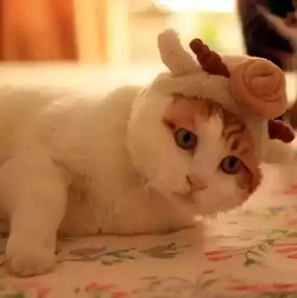 天津青年旅社推荐混住,天津值得去的青年旅舍