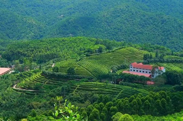 五a景区免门票,广东五A级旅游景区