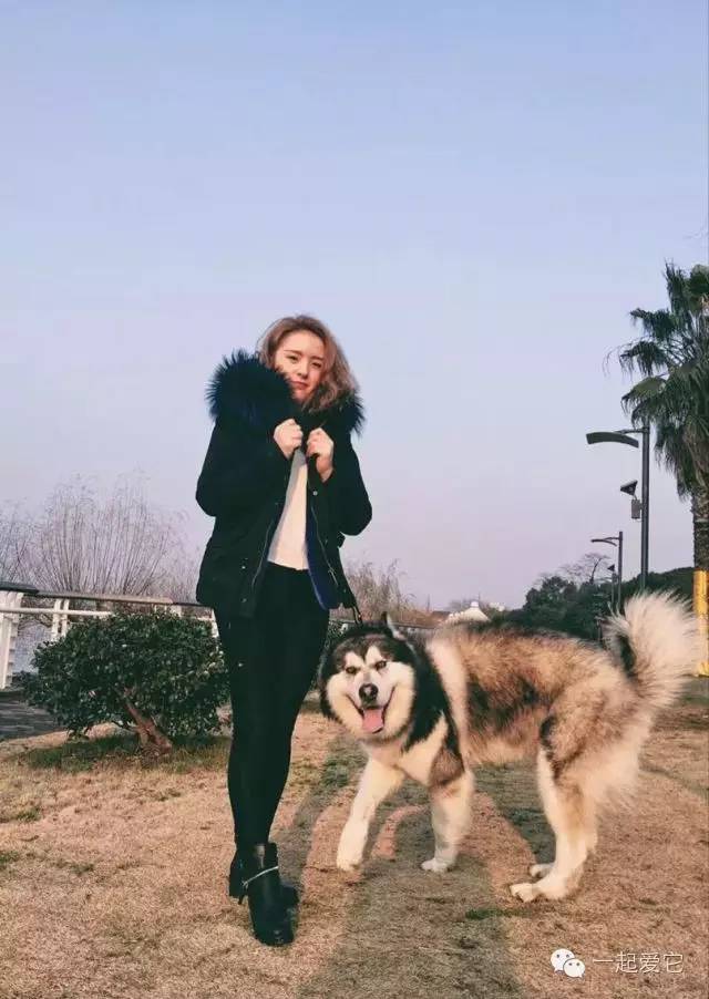 狗拉拉阿拉斯加,拉拉和阿拉斯加