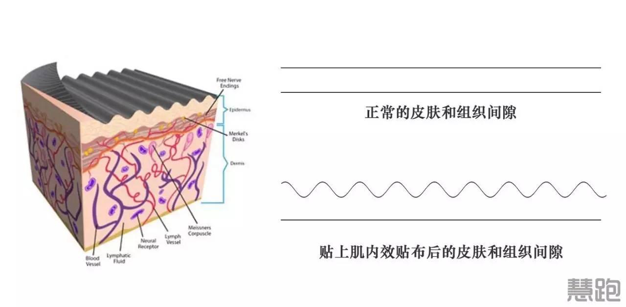 肌贴怎么打有利于跑步的发力,跑马肌贴教学