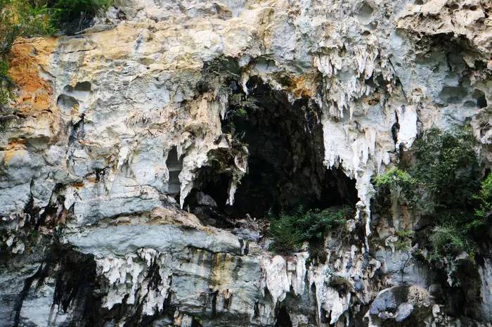 巴马世界旅居圣地,广西巴马长寿圣殿图片
