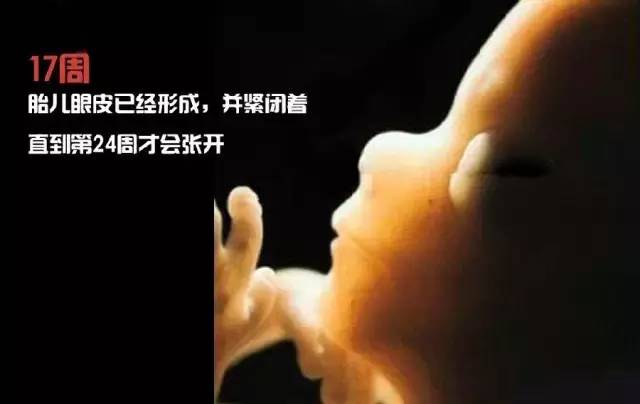 造人计划之前需要做的事,造人计划必须做的事