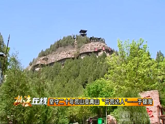 坚守二十年秃山变青山南部山区有个开荒达人于禄海