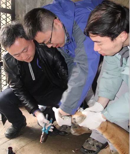 阿拉看宁波,阿拉看荷花