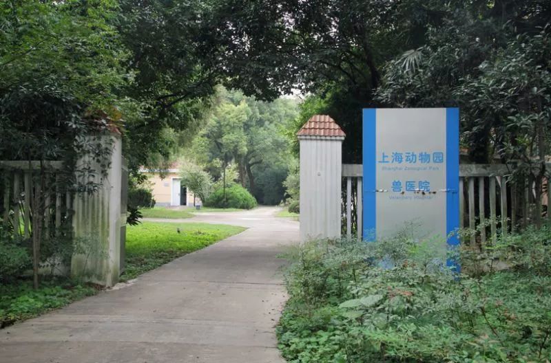 阿拉看环境｜还记得记忆中的西郊公园吗？