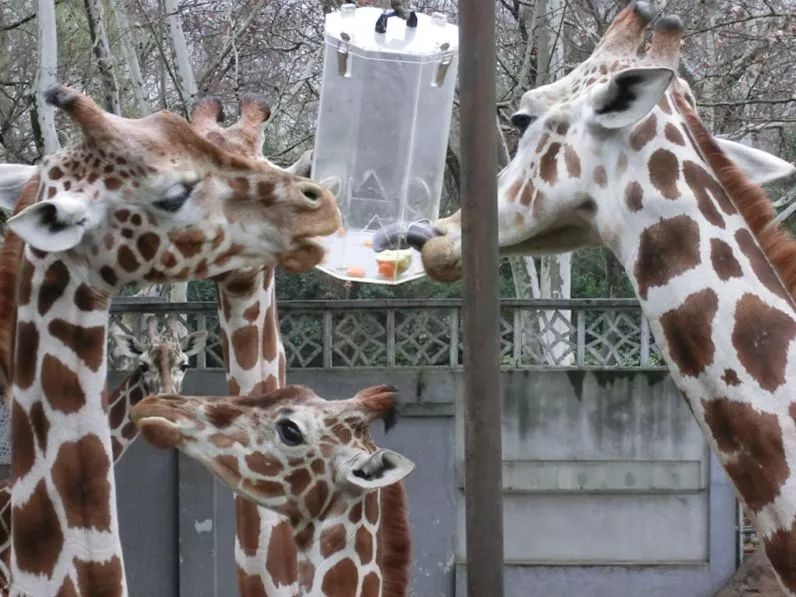 阿拉看环境｜还记得记忆中的西郊公园吗？