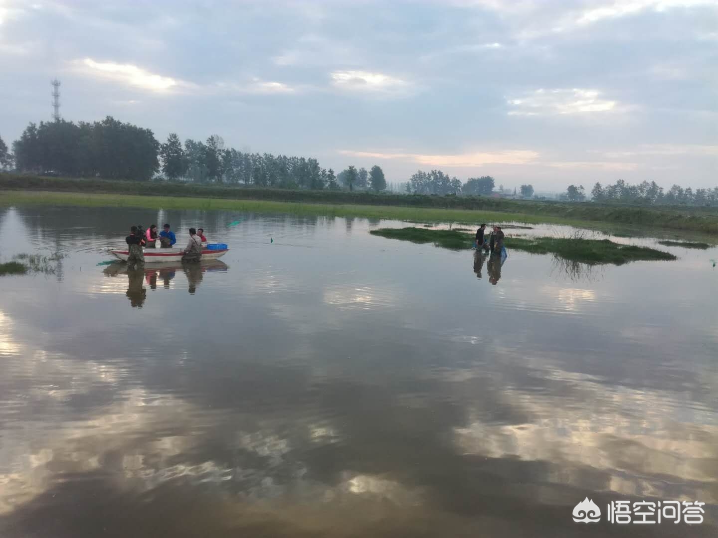 养小龙虾赚钱吗怎样养殖确保收益,盱眙养殖小龙虾赚钱