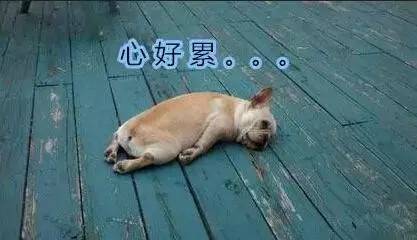 早间看点|神秘黑虫袭击重庆，感觉好害怕