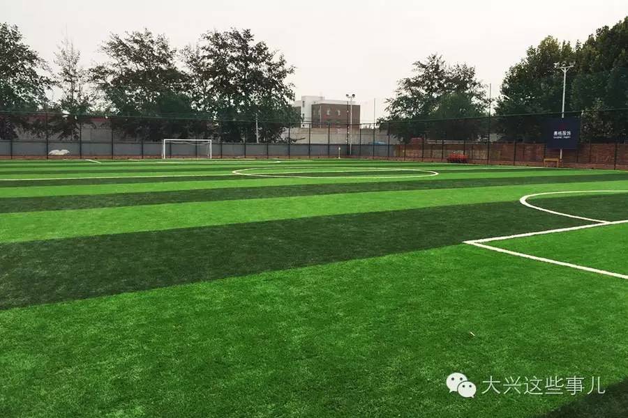 堪比淘宝大兴这个早市不赖地儿大货全免费停车