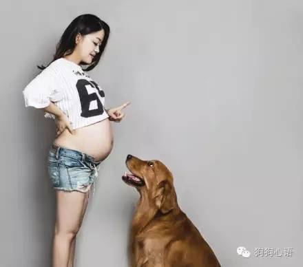 怀孕养狗真的会造成胎儿畸形么,怀孕期间家里养狗对宝宝有影响吗