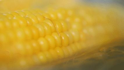 有什么消耗体能的运动,最能消耗全身卡路里的运动