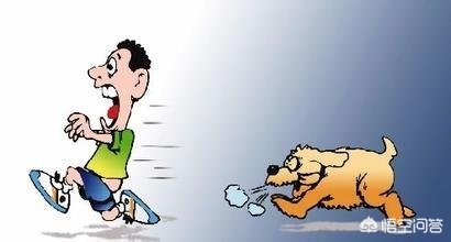 如果疯狗咬你一口你会咬回去吗,如果有疯狗向你冲来怎么办