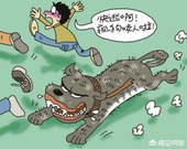 如果有一只疯狗咬你怎么办,如果一条疯狗咬你你会怎么样做