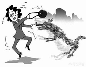 如果有一只疯狗咬你怎么办,如果一条疯狗咬你你会怎么样做